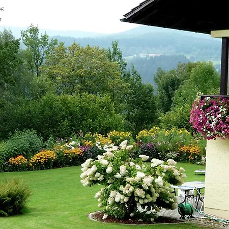 شقة Bayerischer Wald 4 دراخسيلسريد