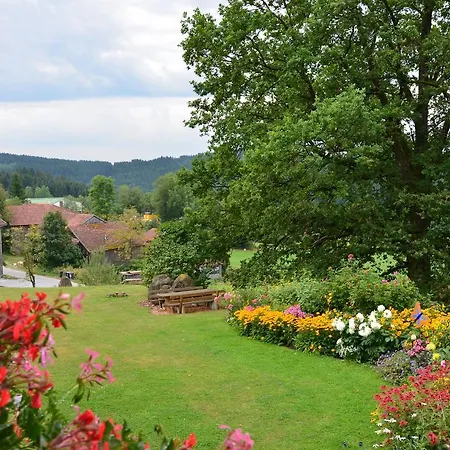 Bayerischer Wald 4 شقة *