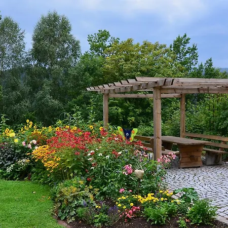 Bayerischer Wald 4 * دراخسيلسريد