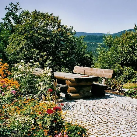 Bayerischer Wald 4 شقة دراخسيلسريد