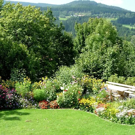 Bayerischer Wald 4 شقة