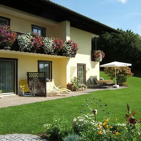 Bayerischer Wald 4 * دراخسيلسريد