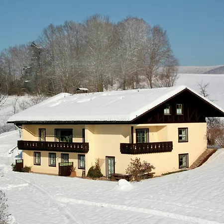 Bayerischer Wald 4 شقة دراخسيلسريد