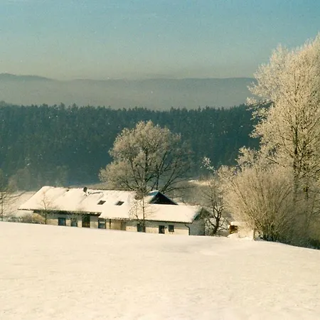 Bayerischer Wald 4 شقة